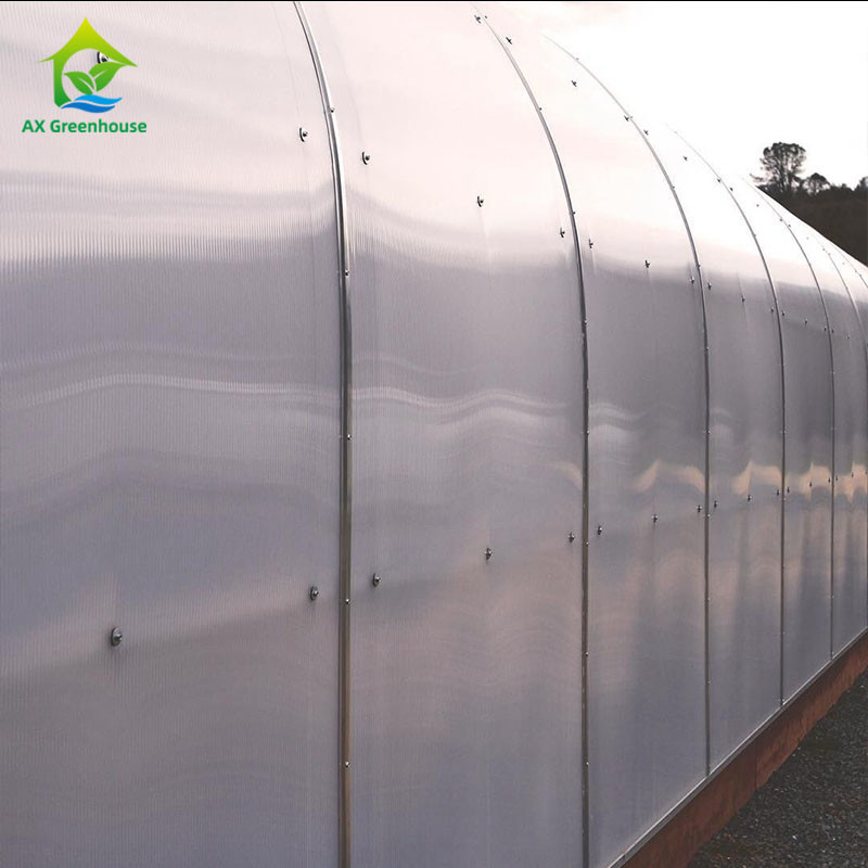 sistema de control del clima de Dep Grow Tunnel Greenhouse With de la luz de la altura de la pared de 1,8-3M