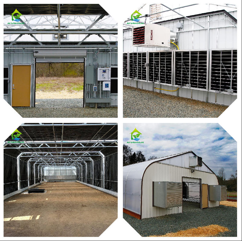 Sistema inteligente de monitoreo de invernaderos con potencia AC220V y medidor de concentración de CO2 de 0 a 50000 ppm para un control óptimo del clima