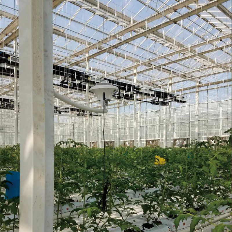 Sistema inteligente de monitoreo de invernaderos con potencia AC220V y medidor de concentración de CO2 de 0 a 50000 ppm para un control óptimo del clima