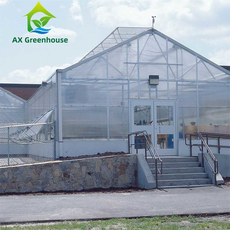 Cultivo de plantas Invernadero de hoja de policarbonato de sola envergadura con estructura estable y fácil montaje
