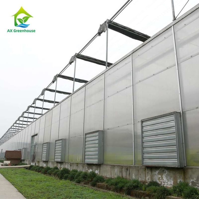Cultivo de plantas Invernadero de hoja de policarbonato de sola envergadura con estructura estable y fácil montaje