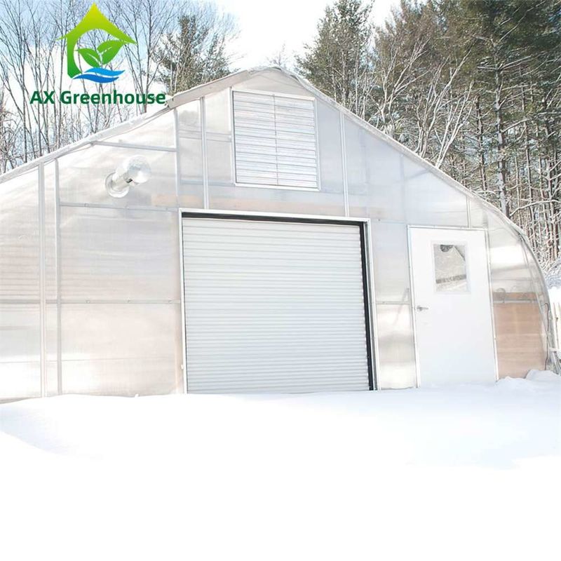 Invernadero de hoja de PC transparente de fácil montaje con tamaño personalizable y marco de acero galvanizado en caliente