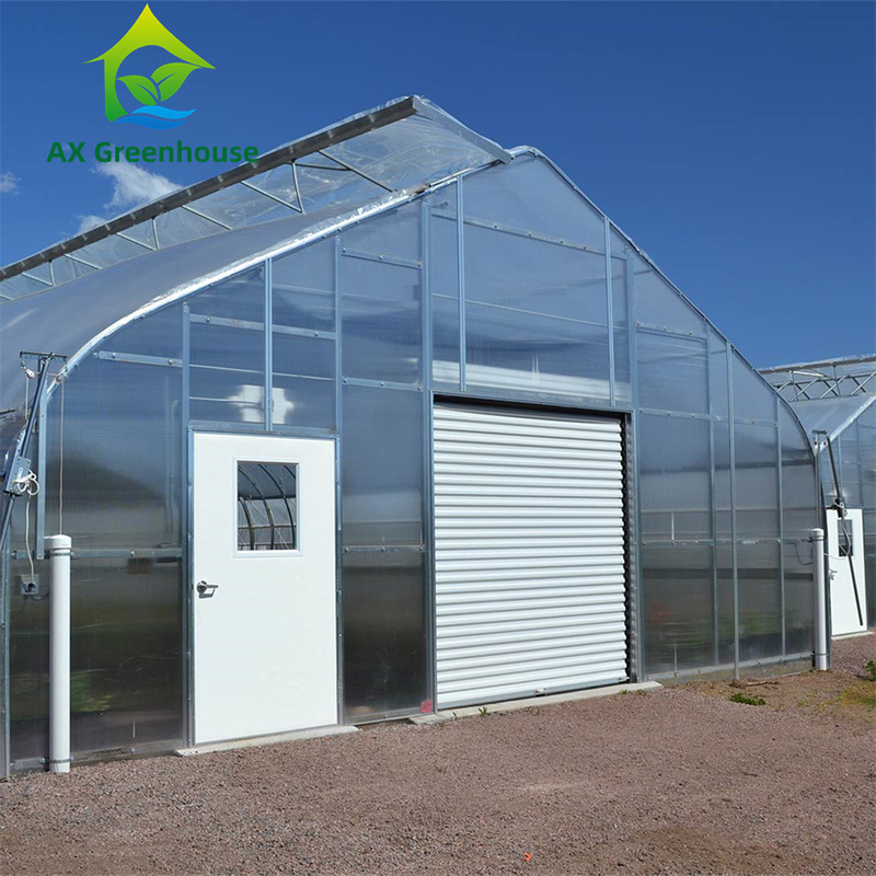 Invernadero versátil de policarbonato multicapa de una sola sección, ideal para hortalizas, plántulas, flores y agricultura en el patio trasero.