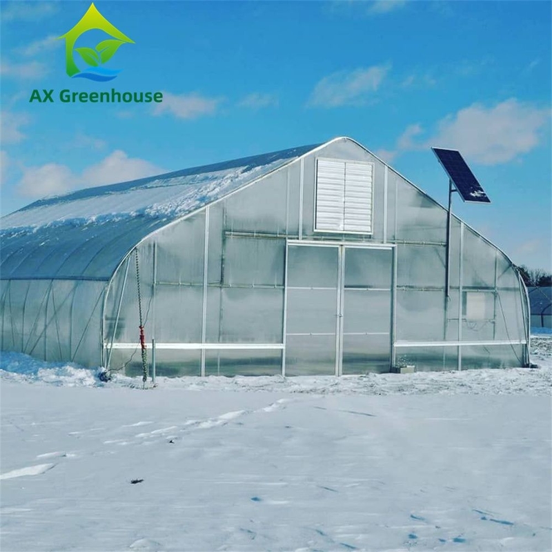 Invernadero versátil de policarbonato multicapa de una sola sección, ideal para hortalizas, plántulas, flores y agricultura en el patio trasero.