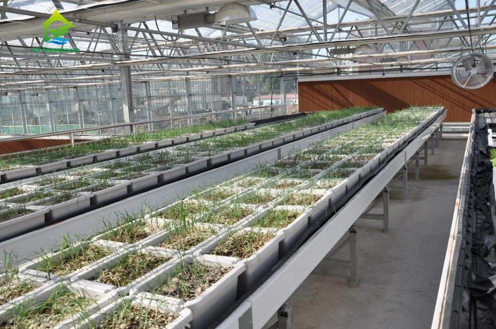 Canal hidropónico grueso del PVC NFT de la categoría alimenticia 3.0-5.0m m para las fresas