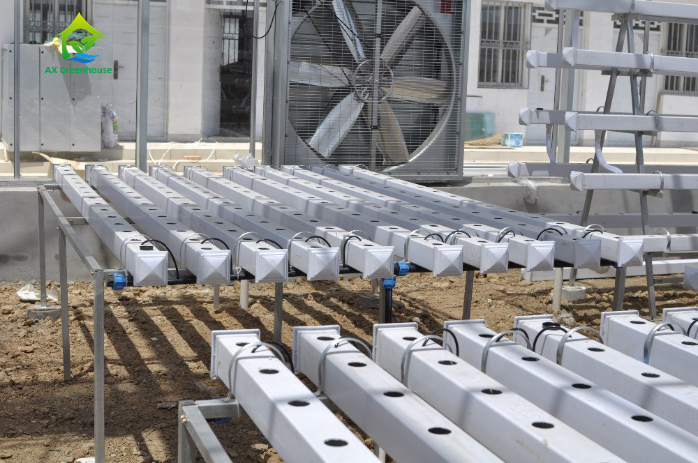 Agricultura en interiores sin suelo El cultivo de fresas Tubo de PVC para hidroponía Sistema NFT para la venta