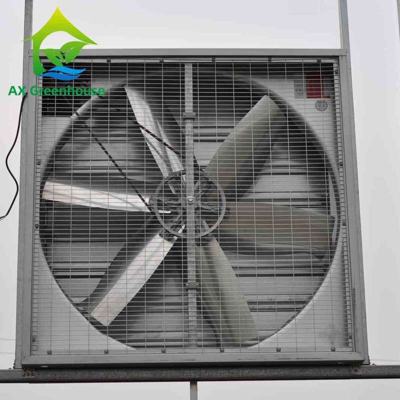 Fans montadas en la pared industriales mojadas del extractor de los extractores de la pared de la cuchilla del diámetro 500-1250m m