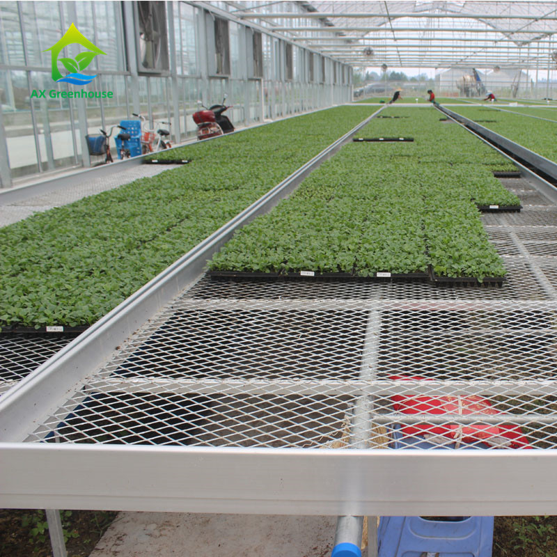 Agricultura Comercial de interior de malla de alambre de invernadero de cultivo de la mesa de rodadura de banco para sembrar