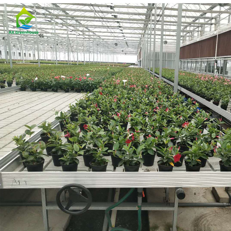 Tabla de cultivo de invernadero de tamaño personalizado para la jardinería