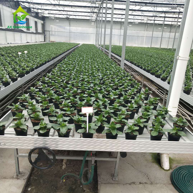 Bancos rodantes para invernadero estables y ecológicos con lámina de plástico ABS y marco de aleación de aluminio en tamaños personalizables