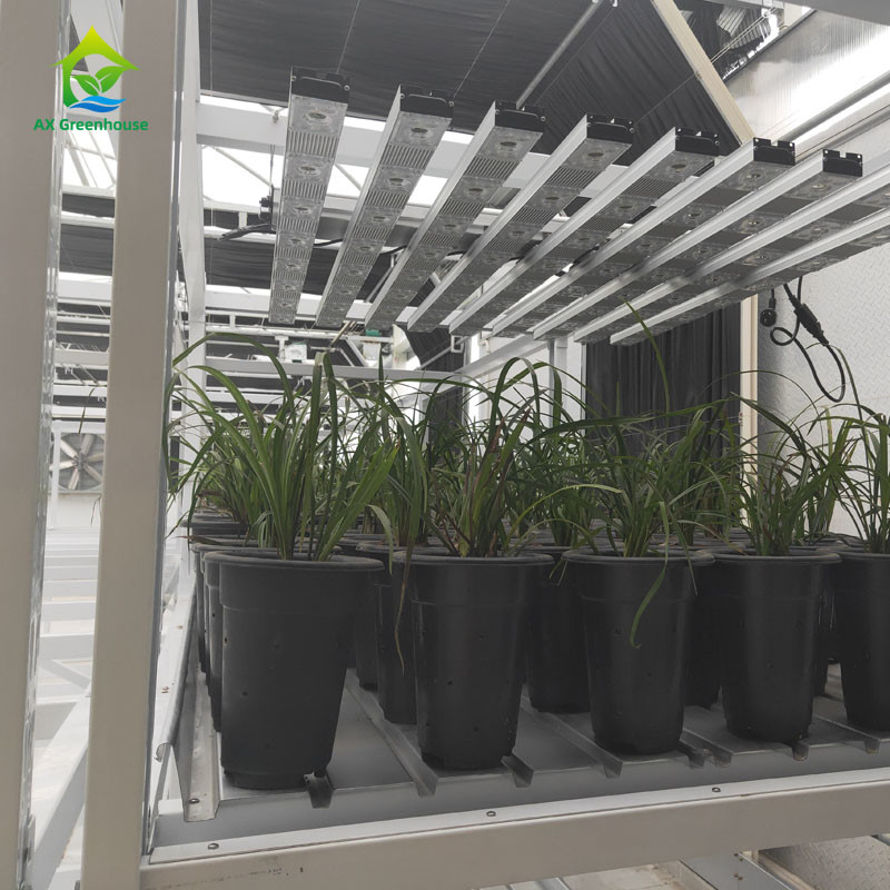 Rack de cultivo de hierbas medicinales para cultivos verticales