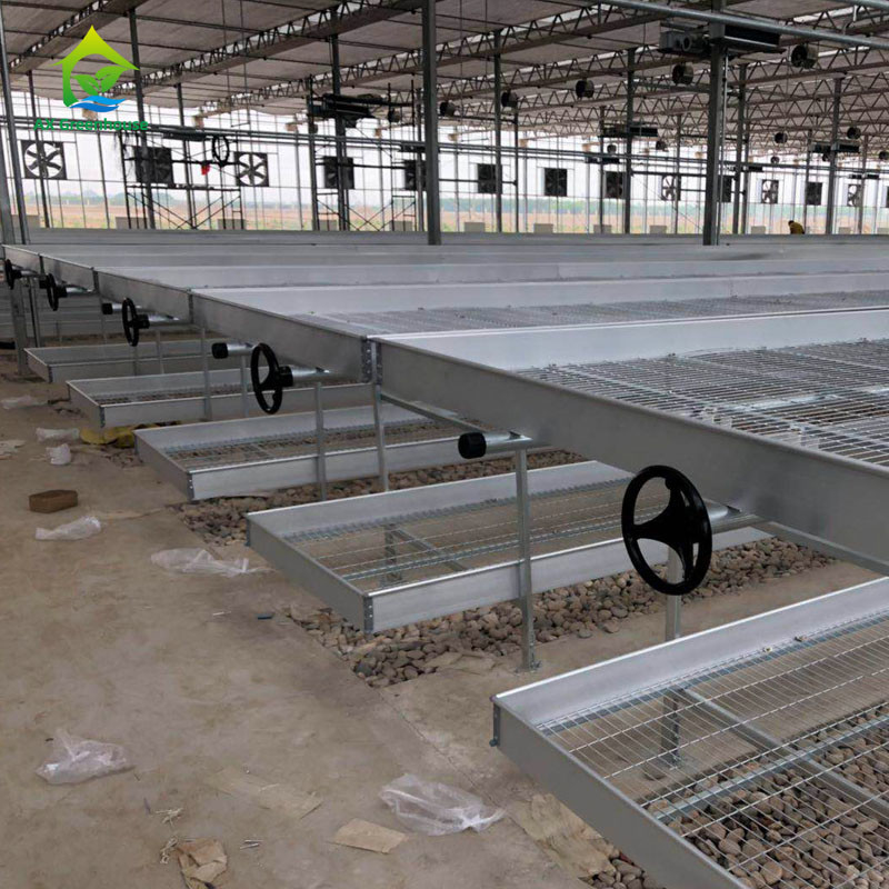 Agricultura Comercial de interior de malla de alambre de invernadero de cultivo de la mesa de rodadura de banco para sembrar