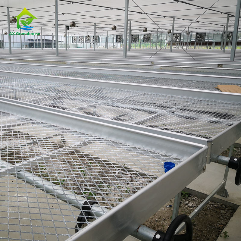 Agricultura Comercial de interior de malla de alambre de invernadero de cultivo de la mesa de rodadura de banco para sembrar